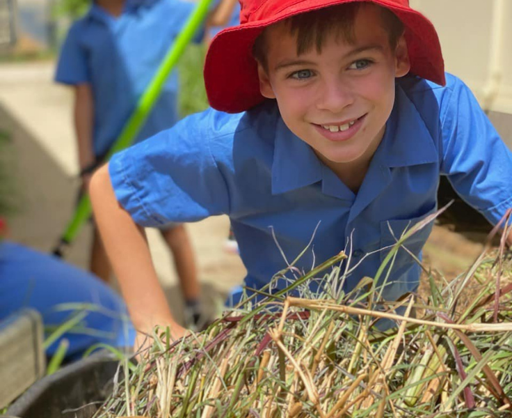 Image of Westdale Public School Student doing gardening